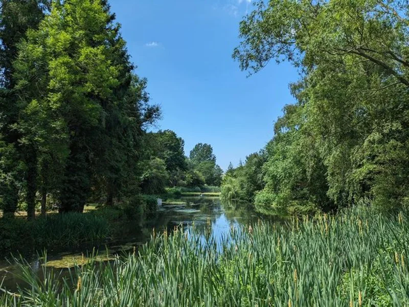 Chiltern Hills